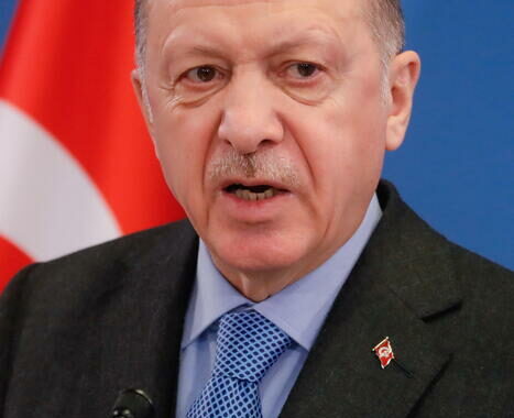 Erdogan, piano per rimpatrio 1 milione di siriani