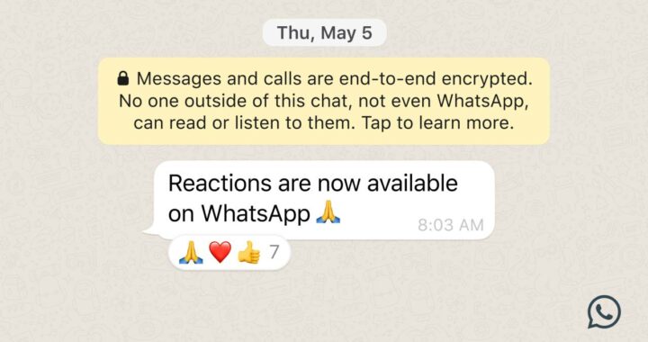 WhatsApp presenta le reaction: come funzionano