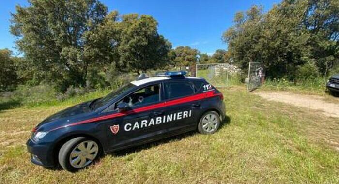 Allevatore ucciso a bastonate nel sud Sardegna, due fermi