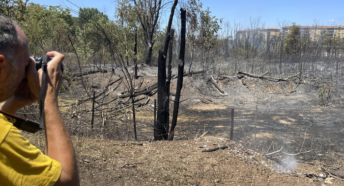 Incendi Roma: verifiche Procura su gestione del verde pubblico