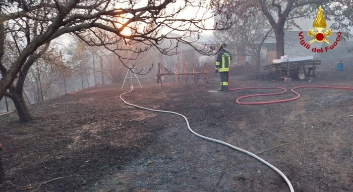 Incendi: volontaria muore schiacciata da albero in Friuli
