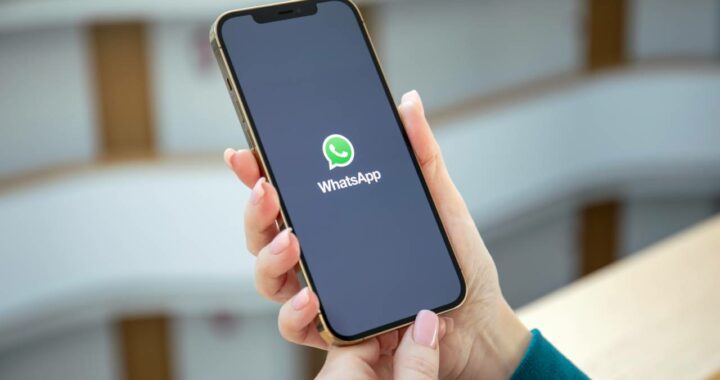 Come fare il backup di WhatsApp e fare il ripristino dei dati