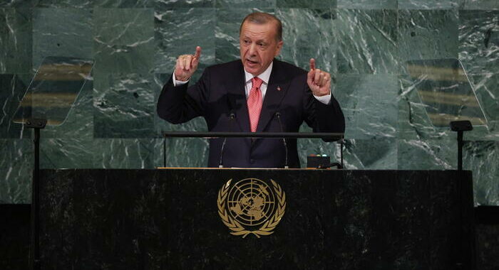 Ankara, il mondo riconosca la parte turca di Cipro
