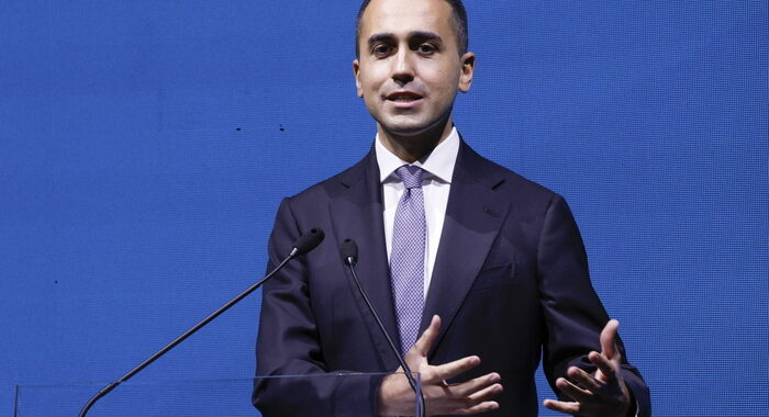 Gas: Di Maio, misura colma, non oltre 80 euro chilowattora