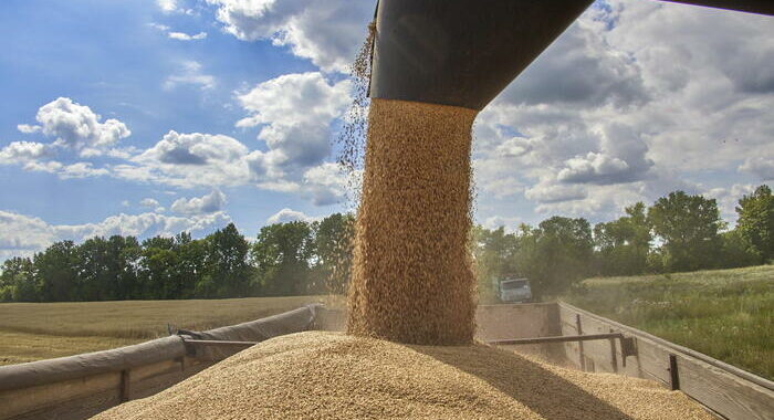 Kiev, la Russia non può imporre dove inviare il grano