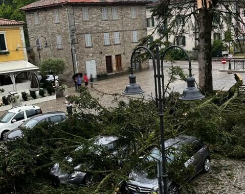 Maltempo: Curcio in partenza per le Marche