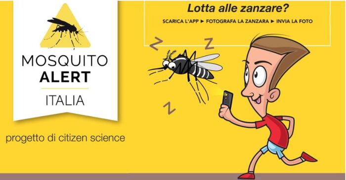 West Nile: Iss, arriva una app per tracciare le zanzare