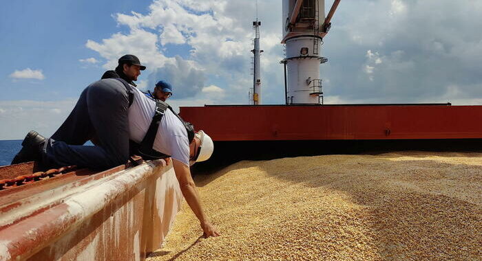 Altre tre navi cariche di grano lasciano i porti ucraini