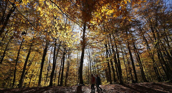 Cop15: accordo per 30% terre e mari protetti al 2030