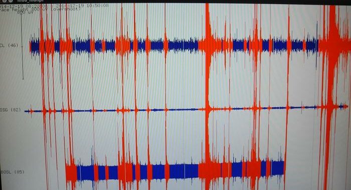 Terremoti: scossa di magnitudo 5.8 in Indonesia