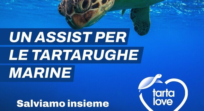 Calcio, negli stadi spot Legambiente per tartarughe marine