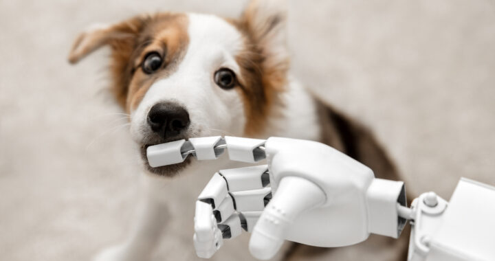 Come l’intelligenza artificiale può aiutarci con gli animali domestici