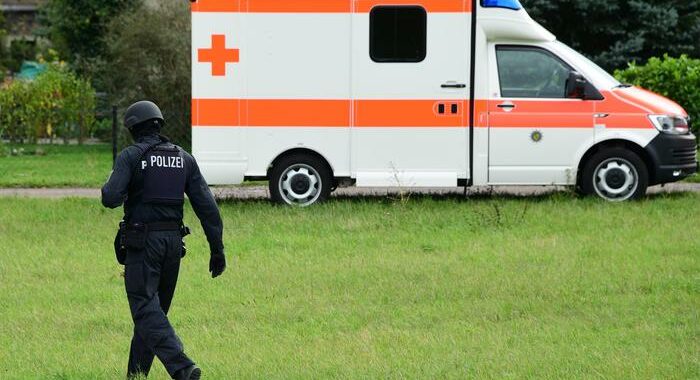 Germania: dodicenne uccisa, sospettate due coetanee