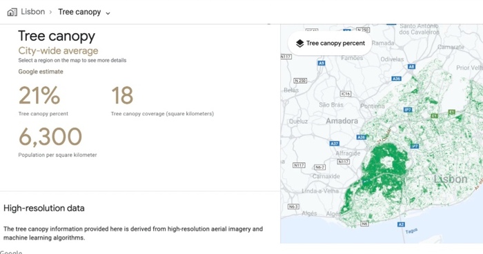 Google, l’IA per combattere il surriscaldamento delle città