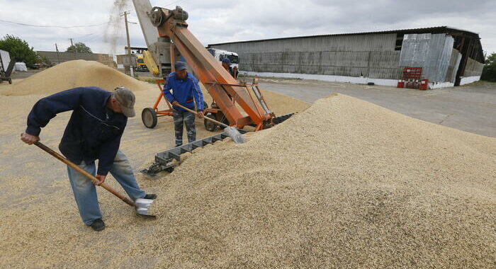 Guterres, cruciale l’estensione dell’accordo sul grano