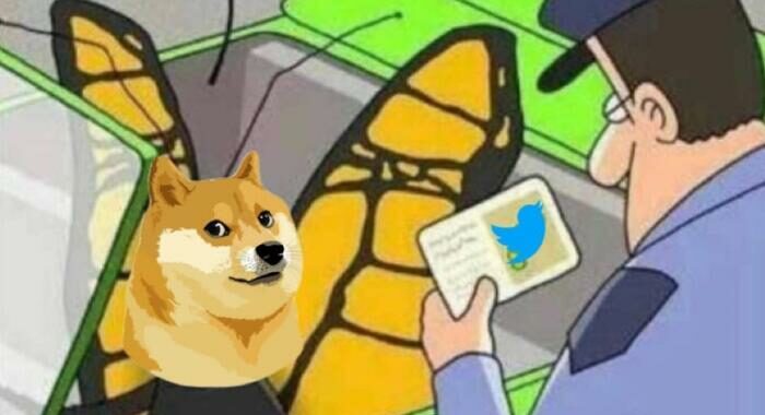 Musk cambia logo di Twitter con cane, Dogecoin vola a +30%