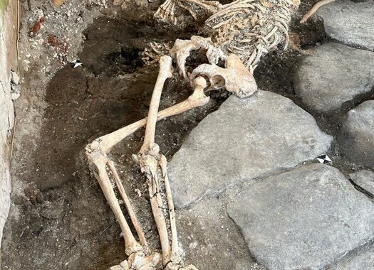 A Pompei trovati i resti di tre vittime dell’eruzione