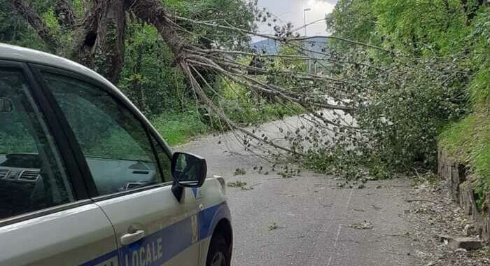 A Trieste torna la bora, raffiche oltre i 100 km all’ora