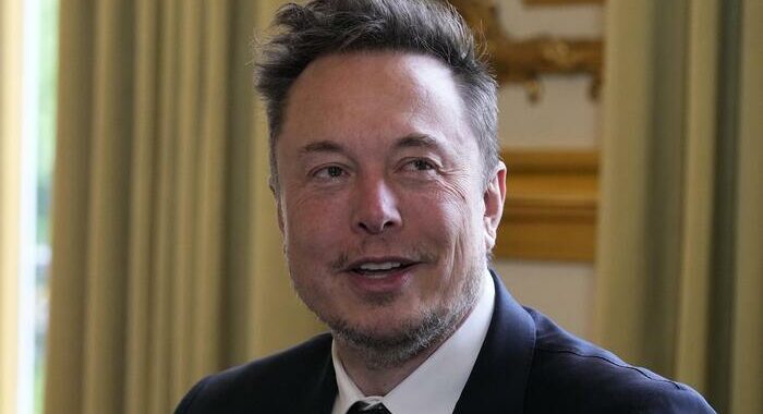 Musk, visore Apple? Per 20 dollari compro funghi allucinogeni