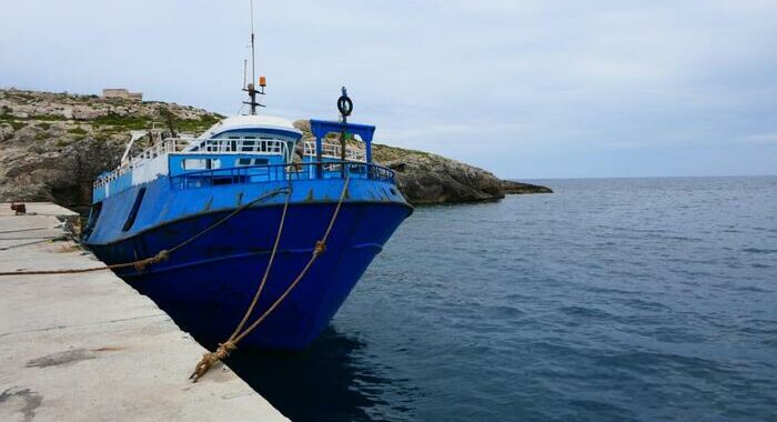 Nave ong Aurora disubbidisce e sbarca 39 migranti a Lampedusa