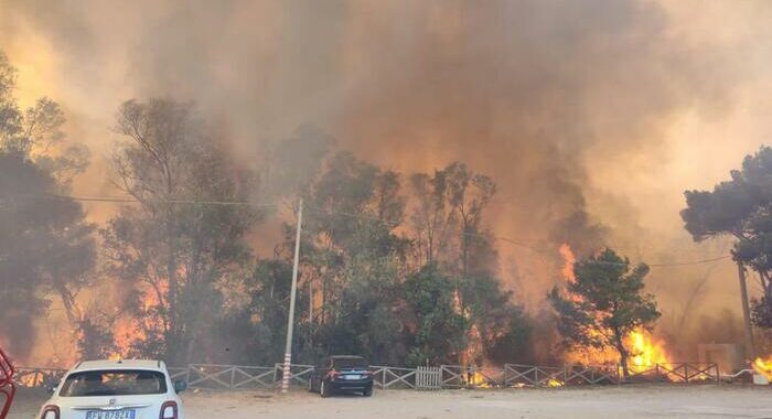 Allarme incendi, in Europa inquinano come 10 milioni di auto