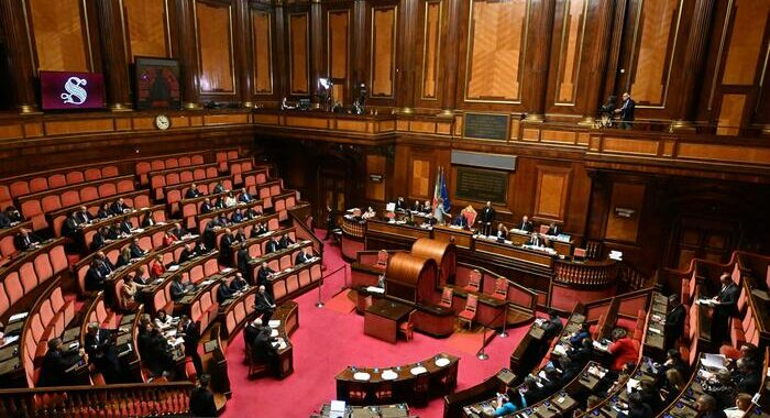 Ddl Carne coltivata,via libera dal Senato, passa alla Camera