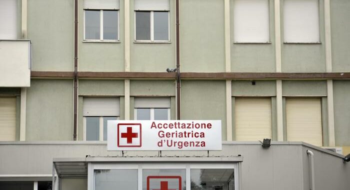 Formiche su anziana a pronto soccorso dell’Inrca di Ancona