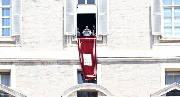 Il Papa, distruggere il grano è una grave offesa a Dio