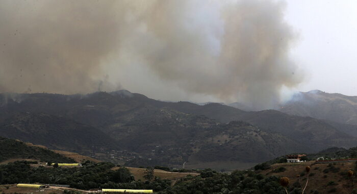 Incendi, sale a 34 morti il bilancio dei morti in Algeria