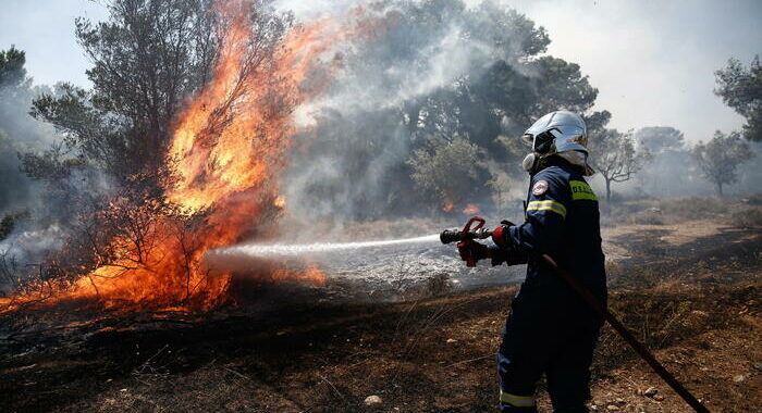 Incendio boschivo vicino Atene,evacuate zone balneari