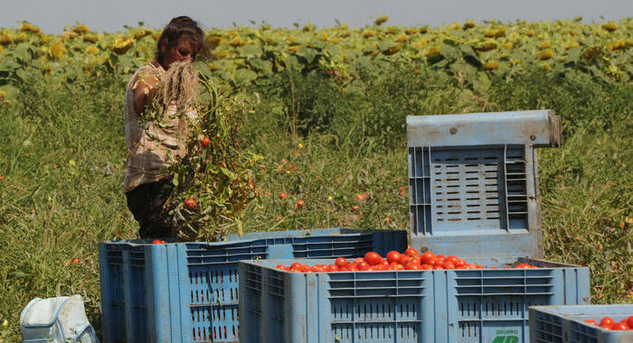 Landini, ‘non si può morire per il caldo sul lavoro’