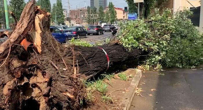 Maltempo su Milano, tetti scoperchiati e alberi caduti