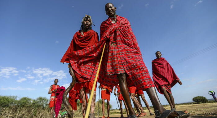 Oxford ripaga tribù masai con 98 mucche per arte ‘rubata’