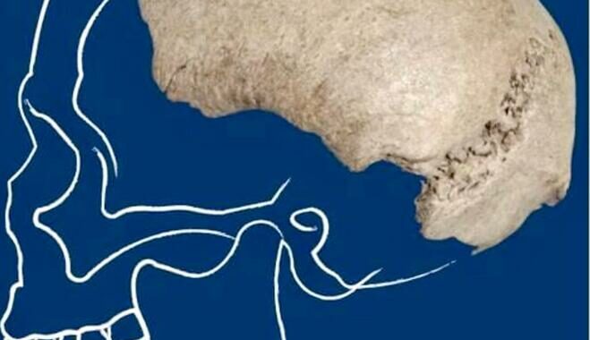 Trovato nel fiume Po il cranio di un homo sapiens