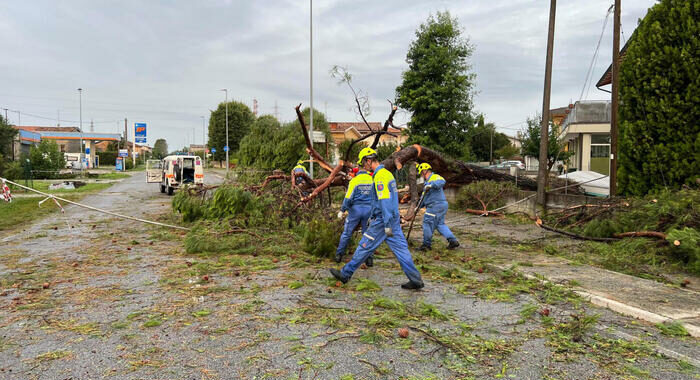 Volontario della Protezione civile muore travolto da una ceppaia