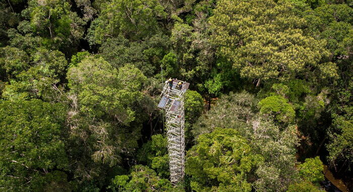 Lula non esclude l’esplorazione petrolifera in Amazzonia