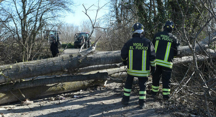 Maltempo, alberi caduti e tetti pericolanti nel Milanese