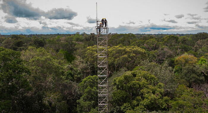 Fiumi in secca e villaggi isolati, il Nino asseta l’Amazzonia