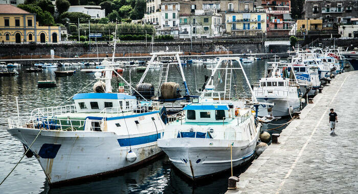 Via libera Pe a nuove norme su tracciabilità settore pesca