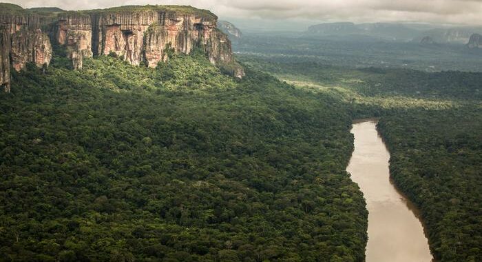 L’Amazzonia dallo spazio per la Giornata degli Alberi