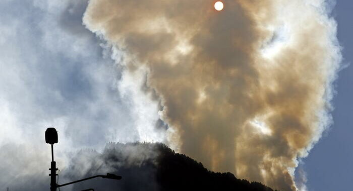 Colombia: per incendi boschivi distrutti 17.000 ettari in 3 mesi