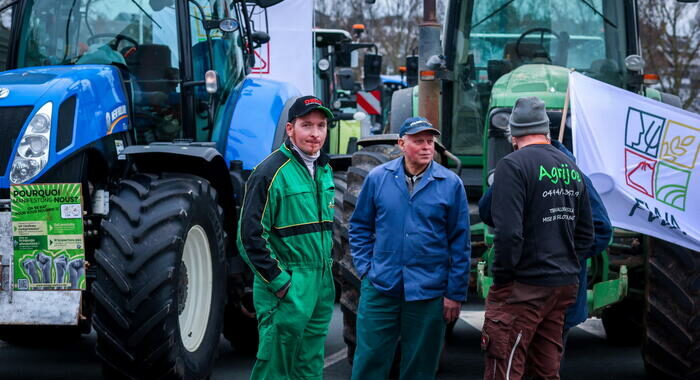 Gli agricoltori belgi verso blocco del porto di Zeebrugge