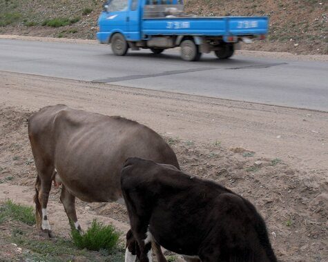 Mongolia: 6 morti e 14 feriti per un’esplosione di gas