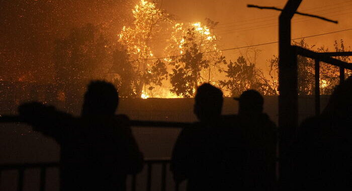 Incendi in Cile, per ministra Interno ‘fino a 16 i morti’