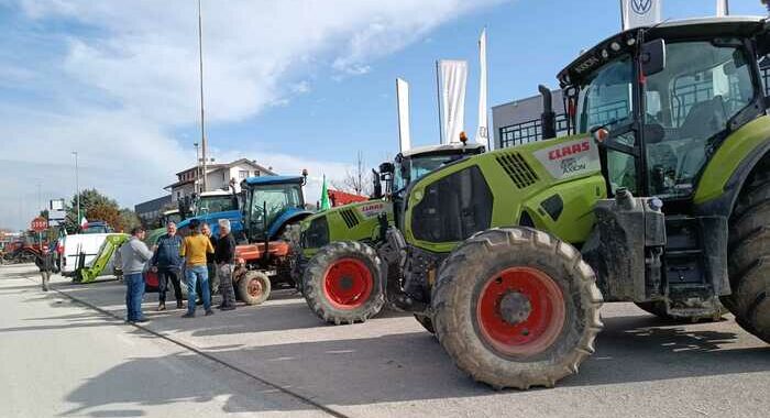 Meloni, ho difeso gli agricoltori molto prima delle proteste