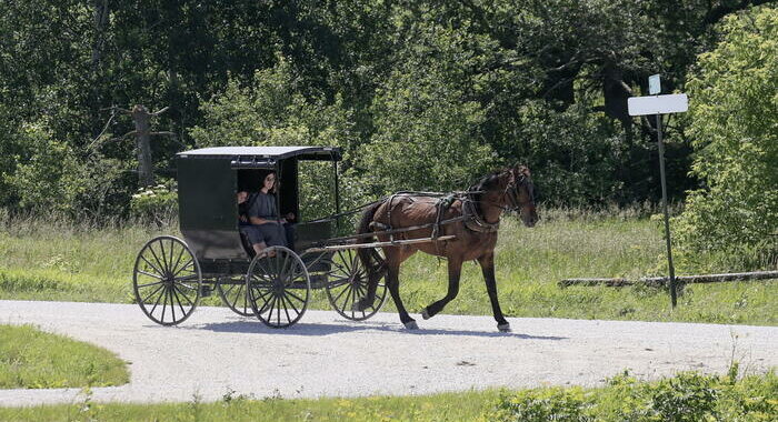 Paura nella comunità amish negli Usa, uccisa una donna incinta