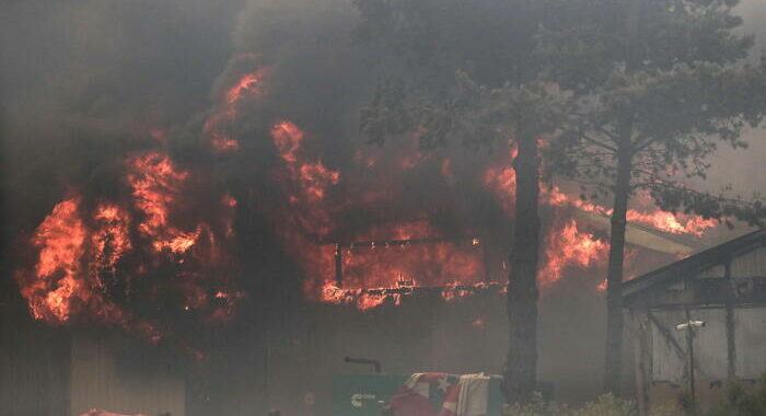 Sale a 51 il bilancio dei morti negli incendi in Cile