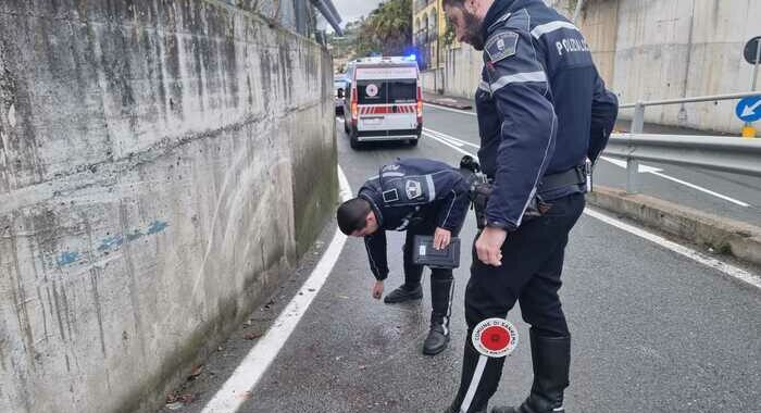 Studente di 17 anni muore investito da pirata della strada