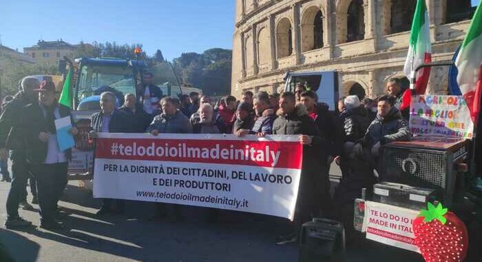 Trattori al Colosseo, ‘governo si assuma le sue responsabilità’