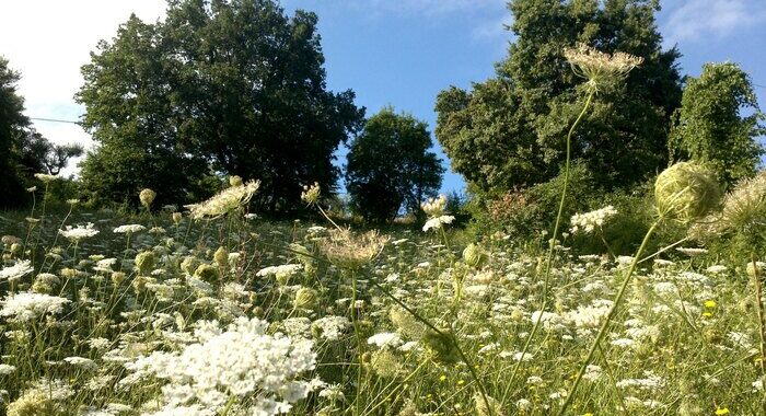 Slitta il via libera dell’Ue alla legge sulla natura